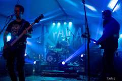 105_32KrawalPetekTeddy