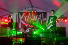 10_32KrawalPetekTeddy