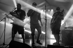 112_32KrawalPetekTeddy