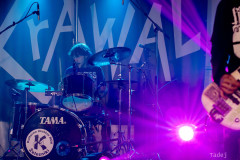 16_32KrawalPetekTeddy