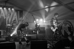 21_32KrawalPetekTeddy