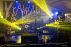 24_32KrawalPetekTeddy