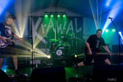 46_32KrawalPetekTeddy