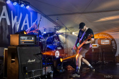 64_32KrawalPetekTeddy