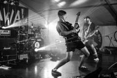 65_32KrawalPetekTeddy