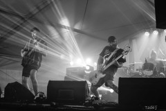 71_32KrawalPetekTeddy