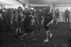 72_32KrawalPetekTeddy