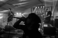 74_32KrawalPetekTeddy