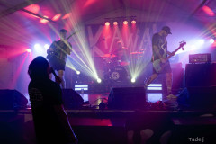 75_32KrawalPetekTeddy