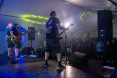 89_32KrawalPetekTeddy