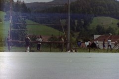 My beautiful picture