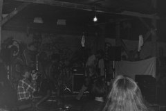 My beautiful picture