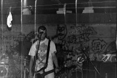 My beautiful picture