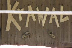krawal2009-3