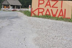 krawal2010-19